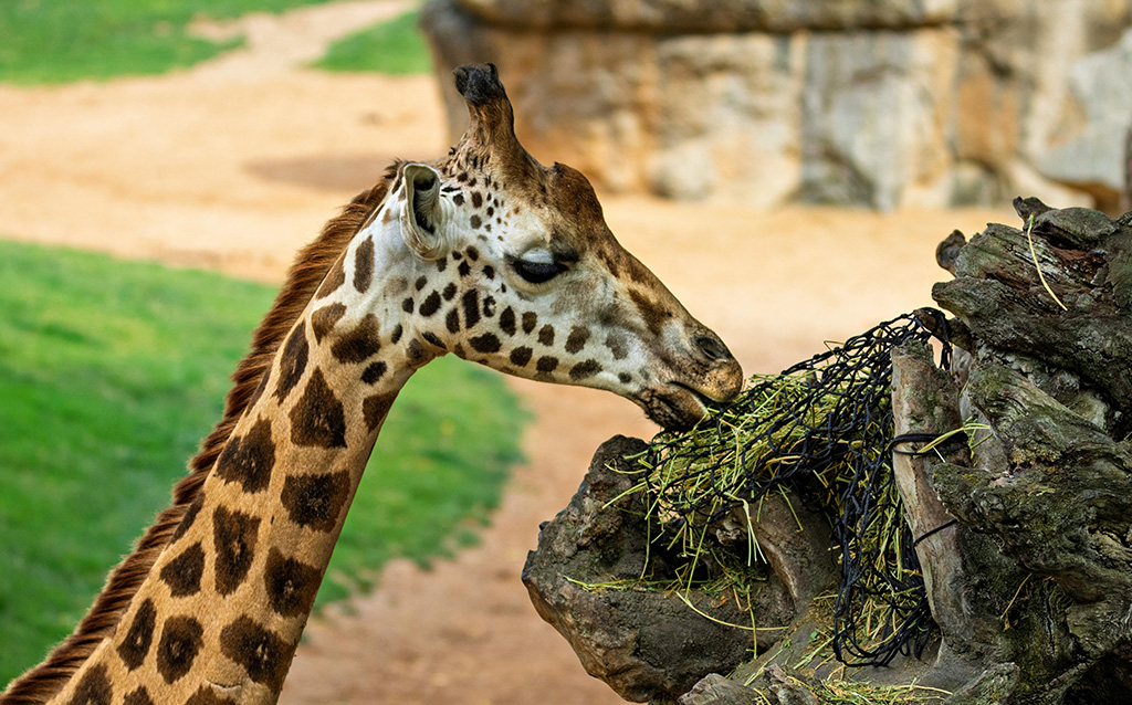 Incendio controlado sin daños