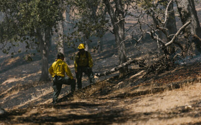 Sabotaje en 16 bases forestales en plena huelga en Madrid