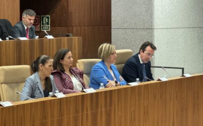 El Gobierno local de Leganés presenta al Pleno más de 20 proyectos de mejora urbana