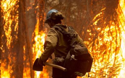 Brigadistas forestales de Madrid mantienen huelga indefinida