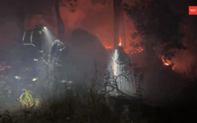 Incendio en Collado Mediano afectó chalets y zona forestal