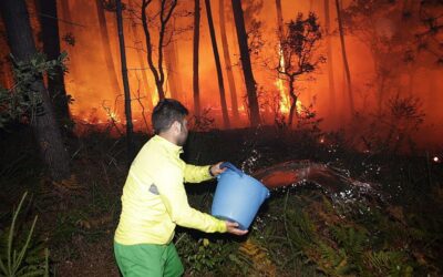 Vecinos luchan contra incendios en Galicia, Castilla y León y Extremadura