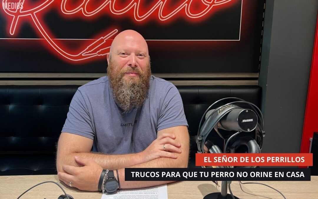26/08/2025 – EL SEÑOR DE LOS PERRILLOS – TRUCOS PARA QUE TU PERRO NO ORINE EN CASA