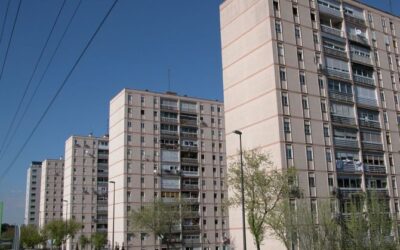 Plaga de mosquitos desespera a vecinos de San Cristóbal y Getafe