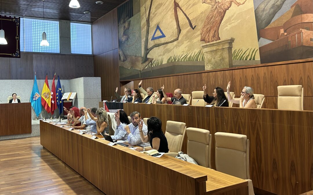 El Pleno de Leganés aprueba la Cuenta General de 2024 con superávit y deuda cero