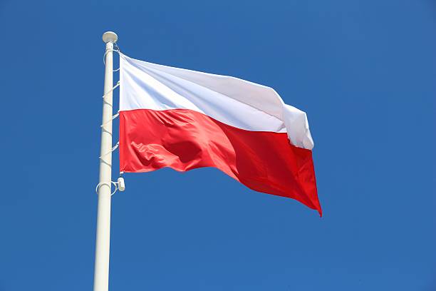 Polonia derriba drones rusos tras incursión en su espacio aéreo
