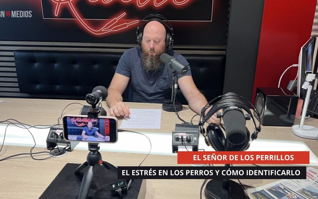24/09/2025 – EL SEÑOR DE LOS PERRILLOS – EL ESTRÉS EN LOS PERROS Y CÓMO IDENTIFICARLO