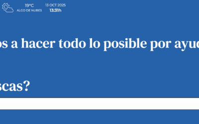 Fallos de acceso a las licitaciones en la web municipal