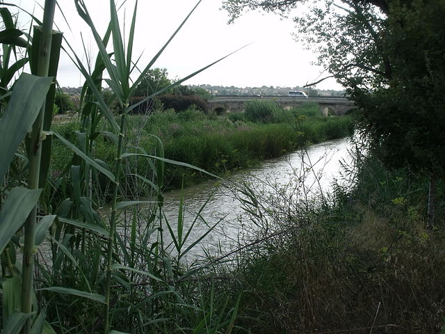 Río_Turia Río_Turia