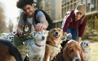 Leganés impulsa nuevos talleres de voluntariado Dejóvenes para el último trimestre de 2025