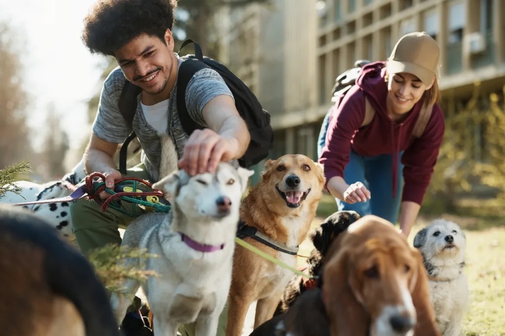 El programa incorpora actividades con mayores, menores, personas con problemas de salud mental y una nueva iniciativa sobre cuidado animal.
