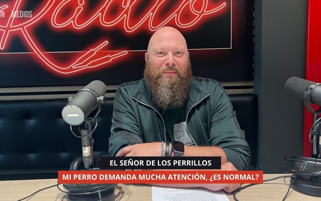22/10/2025 – EL SEÑOR DE LOS PERRILLOS PARTE II – MI PERRO DEMANDA MUCHA ATENCIÓN, ¿ES NORMAL?