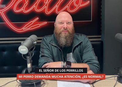 22/10/2025 – EL SEÑOR DE LOS PERRILLOS PARTE II – MI PERRO DEMANDA MUCHA ATENCIÓN, ¿ES NORMAL?
