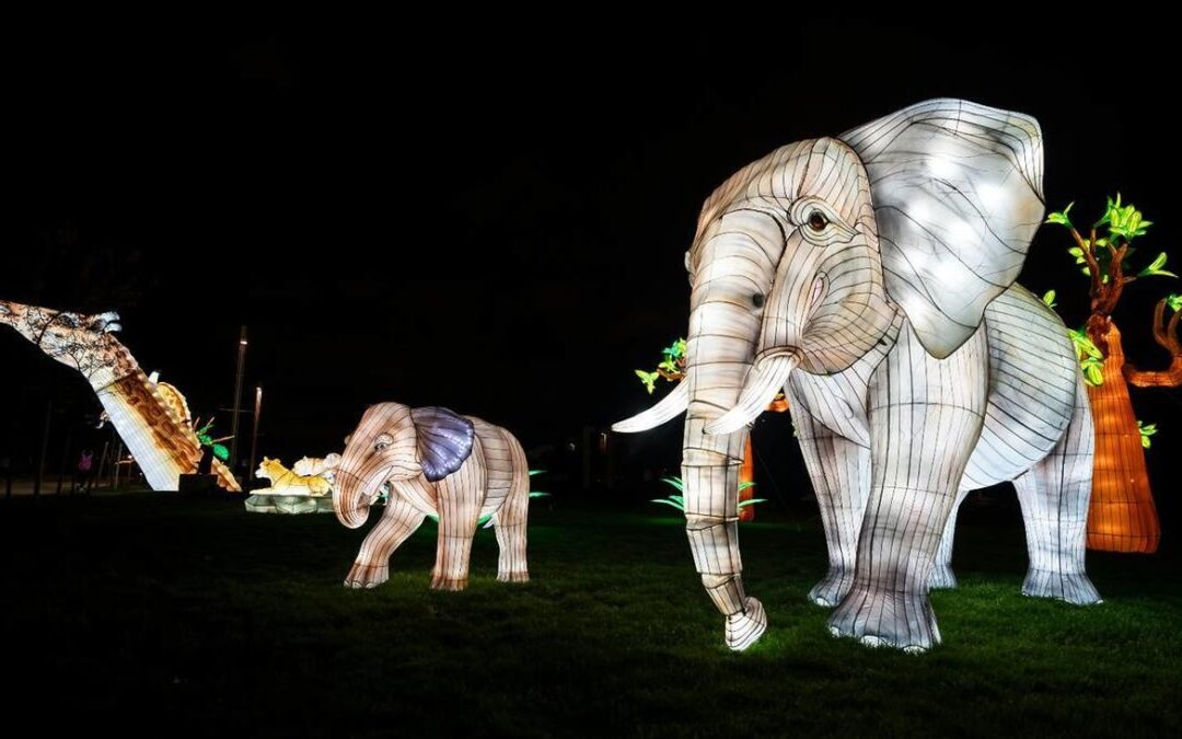 Getafe presenta ‘Brilla Zoo’, el nuevo espectáculo inmersivo para la Navidad