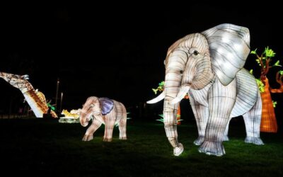 Getafe presenta ‘Brilla Zoo’, el nuevo espectáculo inmersivo para la Navidad