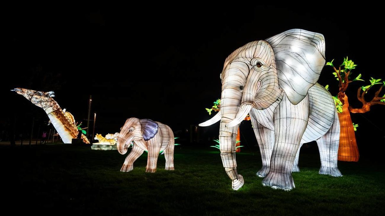 AytoGetafe_Getafe presenta ‘Brilla Zoo’, el nuevo espectáculo inmersivo para la Navidad AytoGetafe_Getafe presenta ‘Brilla Zoo’, el nuevo espectáculo inmersivo para la Navidad