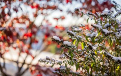Madrid se prepara para un brusco desplome térmico esta semana