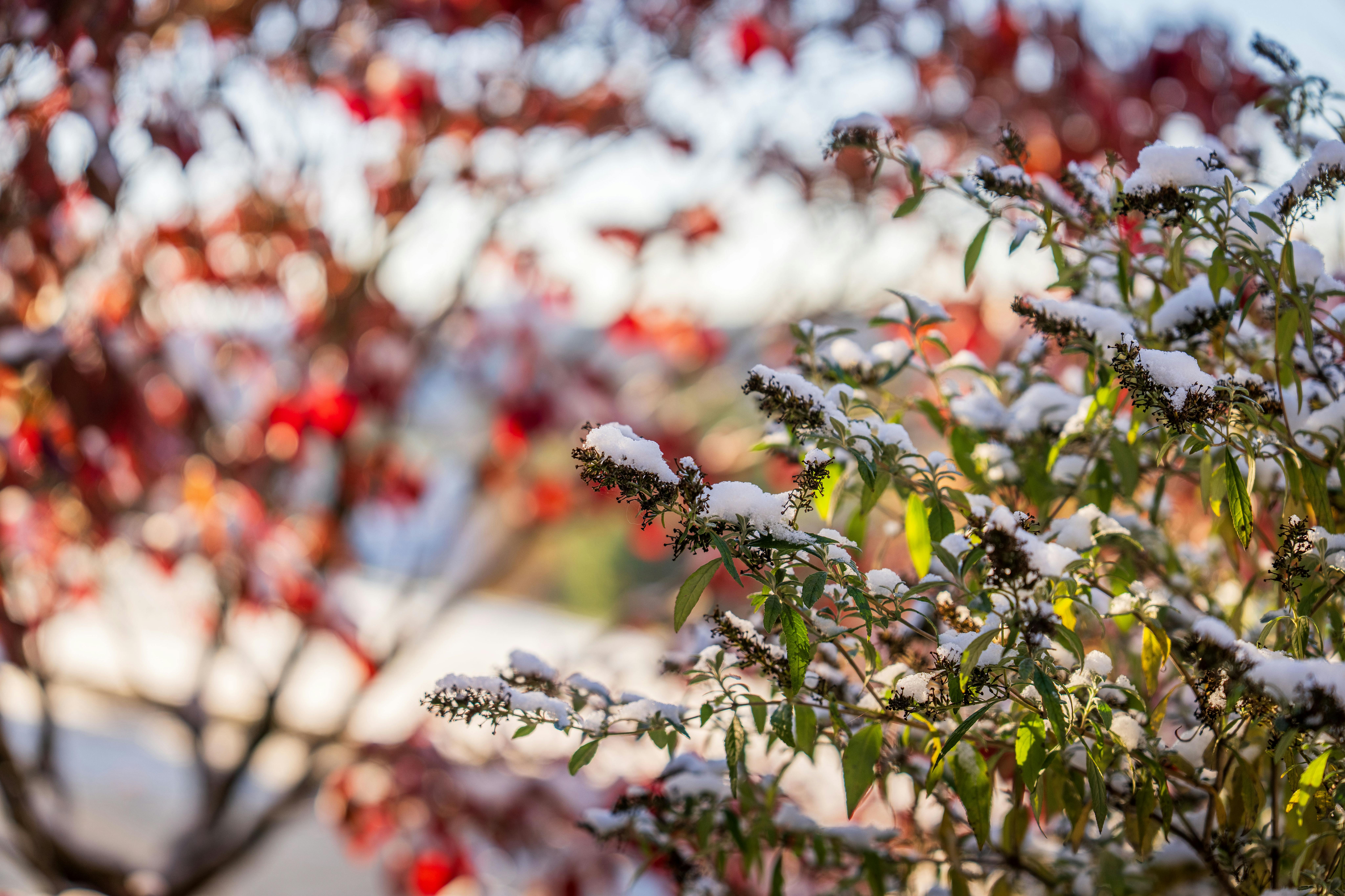 Madrid se prepara para un brusco desplome térmico esta semana