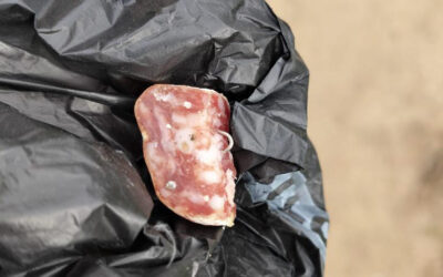 Trozos de comida con clavos, la trampa para perros en las calles de Leganés