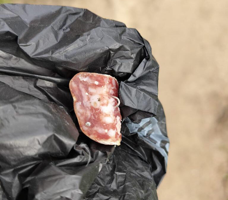 Trozos de comida con clavos, la trampa para perros en las calles de Leganés