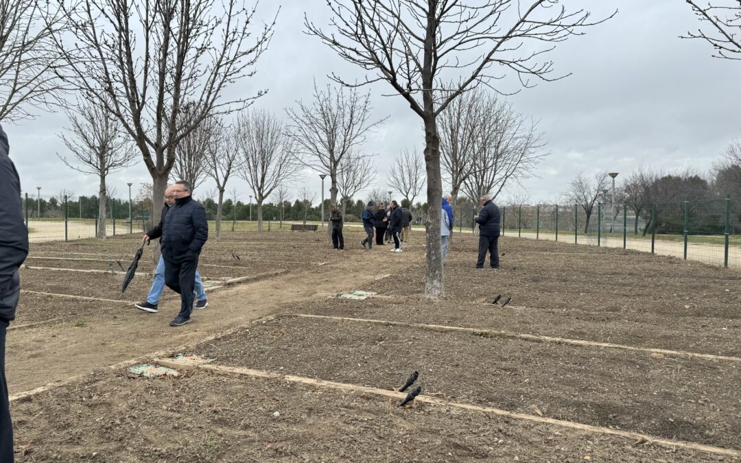 Leganés entrega 65 huertos urbanos a personas mayores para fomentar el envejecimiento activo