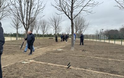 Leganés entrega 65 huertos urbanos a personas mayores para fomentar el envejecimiento activo