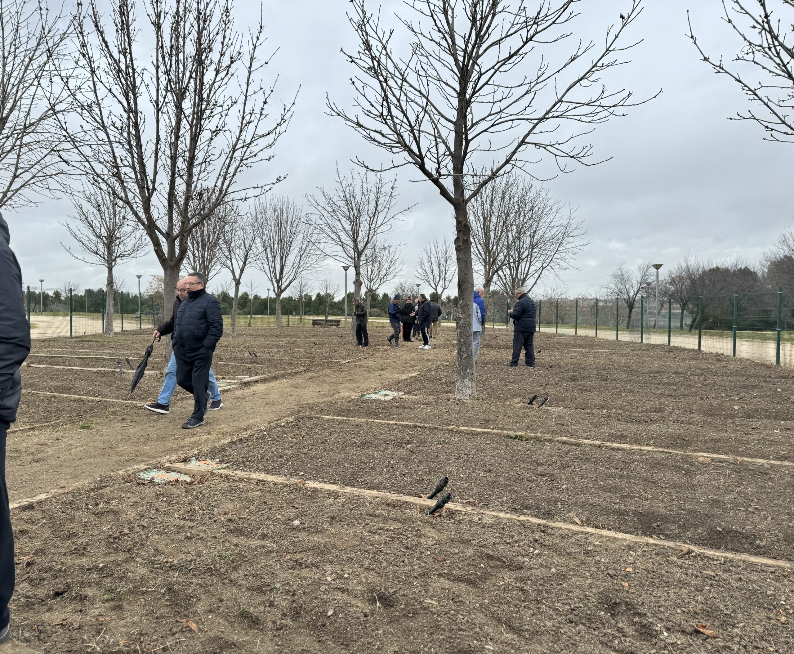 PrensaLeganés_Leganés entrega 65 huertos urbanos a personas mayores para fomentar el envejecimiento activo