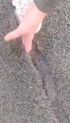 DETERIORO GENERALIZADO