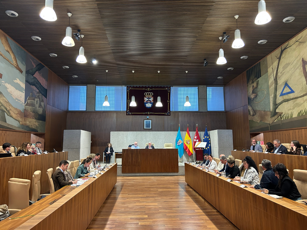 La C5 y las ayudas sociales, protagonistas del Pleno Municipal de Leganés La C5 y las ayudas sociales, protagonistas del Pleno Municipal de Leganés
