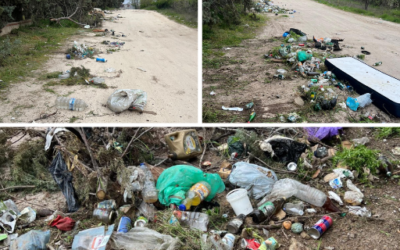 Vertidos ilegales y abandono ambiental junto a los centros educativos Miguel de Cervantes y Pequeño Príncipe de Leganés