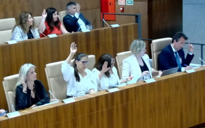El Pleno de Leganés aprueba casi un millón de euros más para subvenciones deportivas