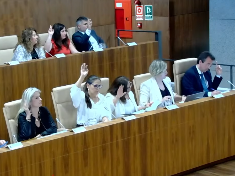 El Pleno de Leganés aprueba casi un millón de euros más para subvenciones deportivas