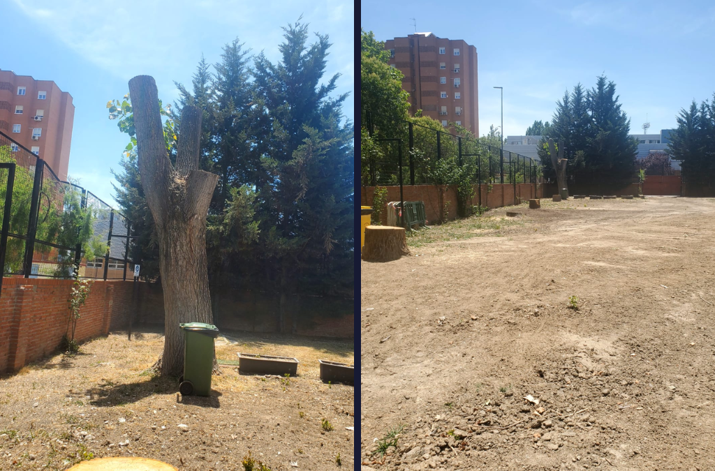 Denuncian falta de árboles en la piscina de El Carrascal: «Nos estamos quedando sin árboles en el barrio»