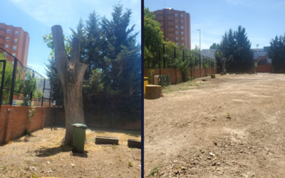 Denuncian falta de árboles en la piscina de El Carrascal: «Nos estamos quedando sin árboles en el barrio»
