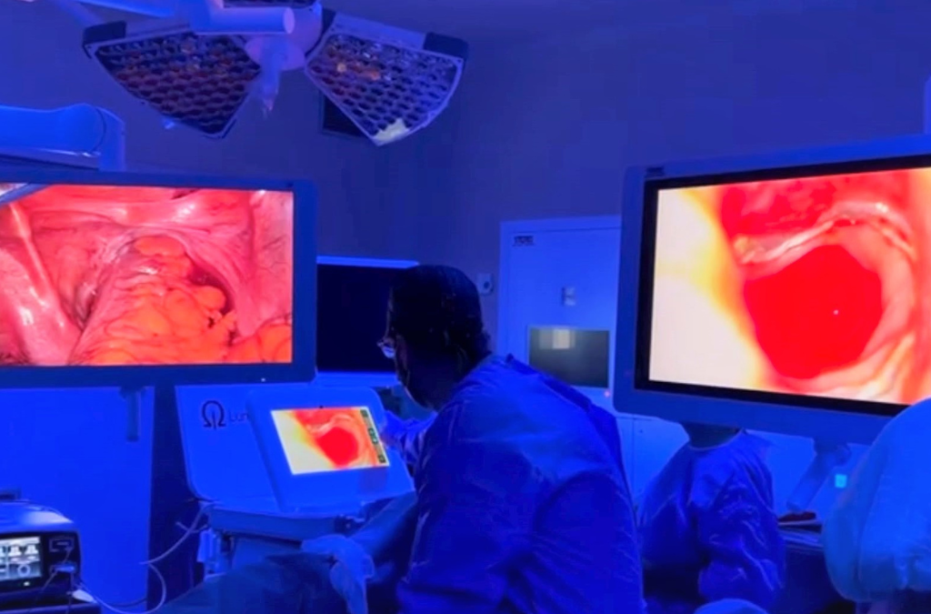 El Hospital Severo Ochoa, entre los más especializados en coloproctología