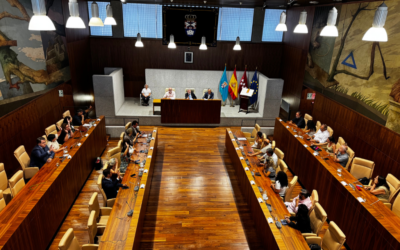 La oposición en Leganés rechaza en el Pleno la rehabilitación de las aceras de Leganés Norte