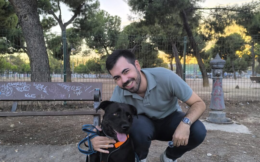 El PSOE de Leganés reclama nuevas áreas caninas en Solagua, Arroyo Culebro y La Fortuna