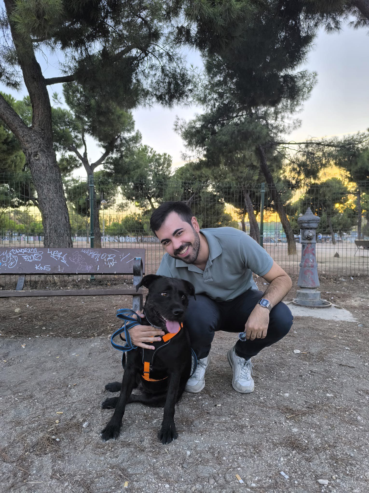 El PSOE de Leganés reclama nuevas áreas caninas en Solagua, Arroyo Culebro y La Fortuna El PSOE de Leganés reclama nuevas áreas caninas en Solagua, Arroyo Culebro y La Fortuna