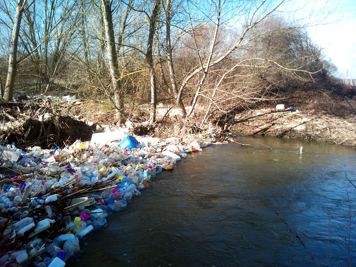 La investigación por la contaminación del río Guadarrama llega a los tribunales tras una denuncia presentada por el exalcalde de Batres La investigación por la contaminación del río Guadarrama llega a los tribunales tras una denuncia presentada por el exalcalde de Batres